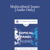 [Audio Download] EP17 Topical Panel 02 - Multicultural Issues - Robert Dilts