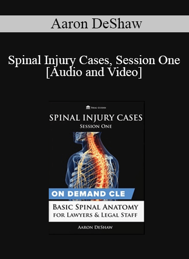 Trial Guides - Spinal Injury Cases