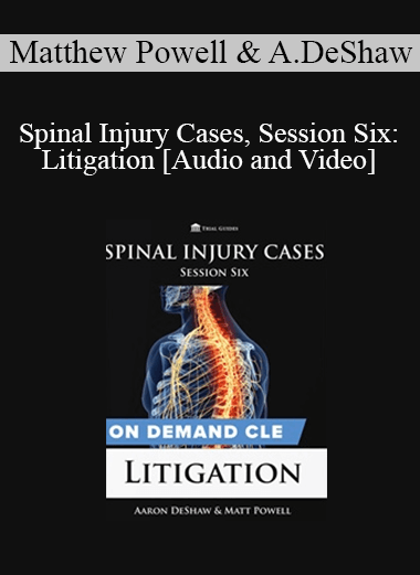 Trial Guides - Spinal Injury Cases