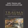 Early Trauma and Dreams AUDIOLECTURE - Donald Kalsched