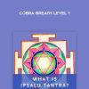 Cobra Breath Level 1 - Ipsalu Tantra