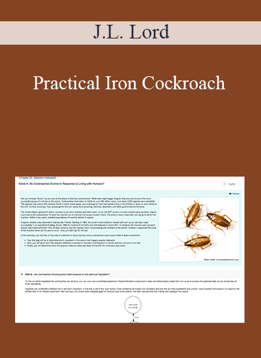 J.L. Lord - Practical Iron Cockroach