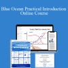 Catherine Vassant - Blue Ocean Practical Introduction Online Course