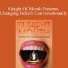 Robert Dilt - Sleight Of Mouth Patterns Changing Beliefs Conversationally