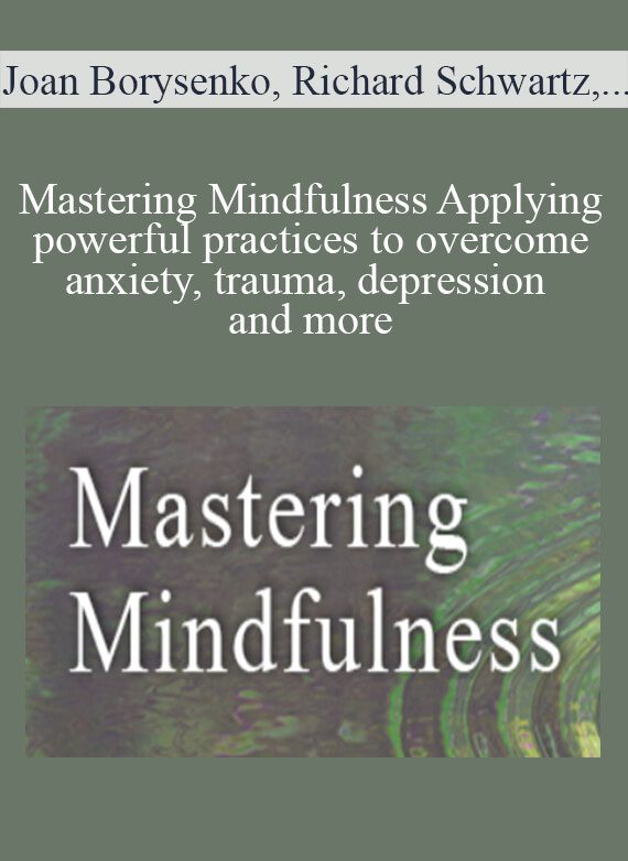 Joan Borysenko, Richard Schwartz, Terry Fralich, and more! - Mastering Mindfulness Applying powerful practices to overcome anxiety, trauma, depression and more