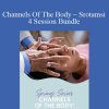 Vasant Lad - Channels Of The Body – Srotamsi – 4 Session Bundle