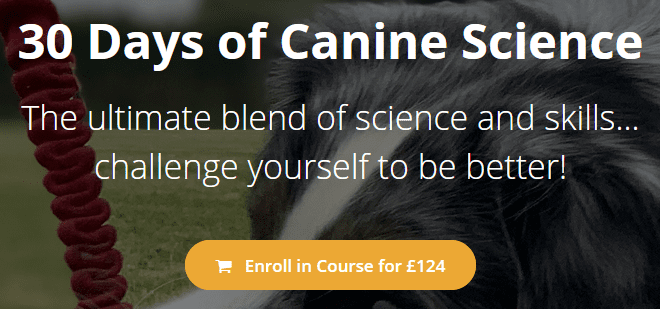 30 Days of Canine Science